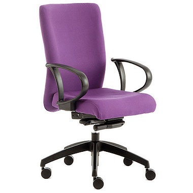 Adept Task Chair with fixed arms (Comes in Various Colours)