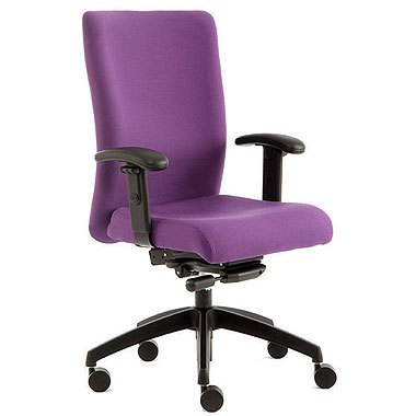 Adept Task Chair with adjustable arms (Comes in Various Colours)